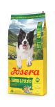 JOSERA Adult Salmon & Potato 12,5 kg Trockenfutterbeutel für ausgewachsene Hunde mit Lachs & Kartoffel