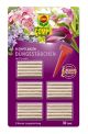 Düngestäbchen mit Guano für Blühpflanzen, mit Langzweitwirkung von 3 Monaten, volle Blüte