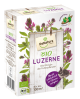 Renatura Bio Luzerne in der 0,5kg Schachtel, Die Königin der Futterpflanzen,  macht Luftstickstoff für Pflanzen verfügbar, für Weidevieh als auch Kleintiere wie Kaninchen besonders beliebt, Mantelsaat Rhizo