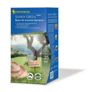 Sunny Green Rasen für trockene Standorte von Kiepenkerl in der 1kg Packung für 35m² , tiefwachsende Wurzeln sparen Wasser, für trockene Gärten, grüne Grasfarbe bei Trockenheit